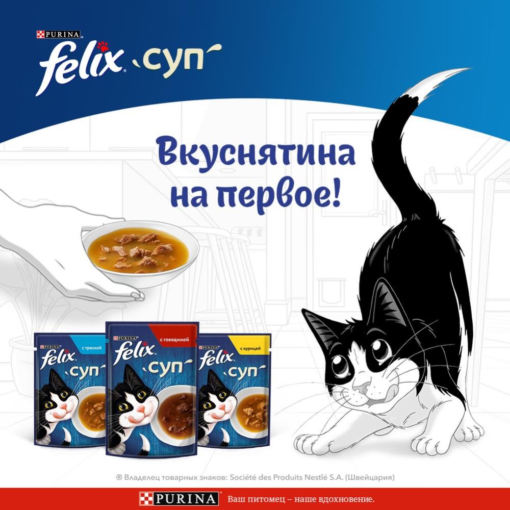Dry Dog Food